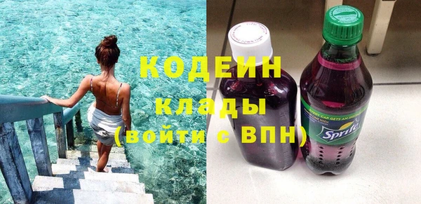 spice Ельня