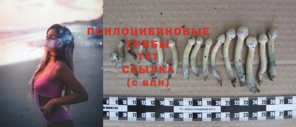 крисы Осташков