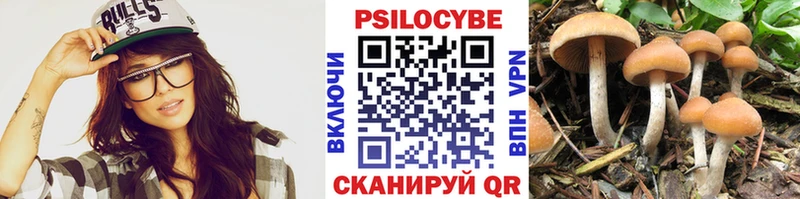omg ТОР  Заполярный  Псилоцибиновые грибы ЛСД 
