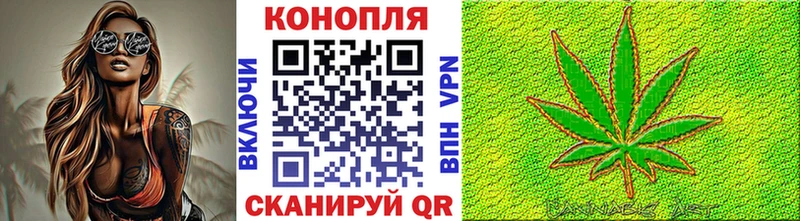 купить  сайты  МЕГА как войти  Бошки марихуана гибрид  Заполярный 